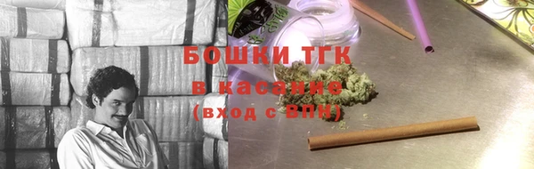 spice Гусиноозёрск