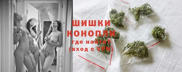 spice Гусиноозёрск