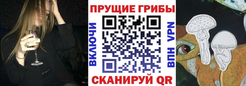 Псилоцибиновые грибы прущие грибы где найти Моршанск