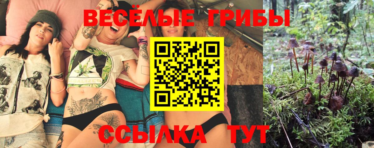 Псилоцибиновые грибы ЛСД  наркотики  Моршанск  Галлюциногенные грибы Cubensis  Вход с VPN 
