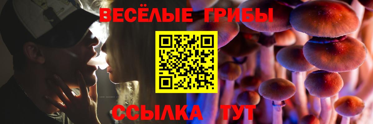 Галлюциногенные грибы Magic Shrooms  Моршанск  Галлюциногенные грибы Magic Shrooms 